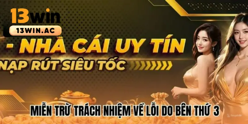 Miễn trừ trách nhiệm về lỗi bên thứ 3